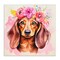 Stupell Industries Boho Wiener Dog Dachshund Canvas Design By Andrea Haase
